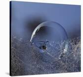 Blue Bubble Morning-Kent Mathiesen-Stretched Canvas
