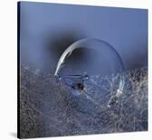 Blue Bubble Morning-Kent Mathiesen-Laminated Giclee Print