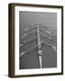 Kent School Rowing Crew Practicing For the Royal Henley Regatta-George Silk-Framed Photographic Print