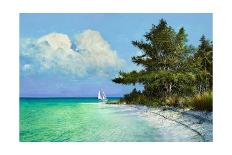 Cayo Costa Beach-Kent Sullivan-Stretched Canvas