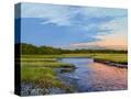 Stretched Canvas