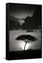 Kenta Sunrise BW-Susann Parker-Framed Stretched Canvas