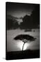 Kenta Sunrise BW-Susann Parker-Stretched Canvas