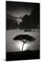 Kenta Sunrise BW-Susann Parker-Mounted Premium Photographic Print