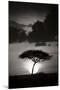 Kenta Sunrise BW-Susann Parker-Mounted Photographic Print