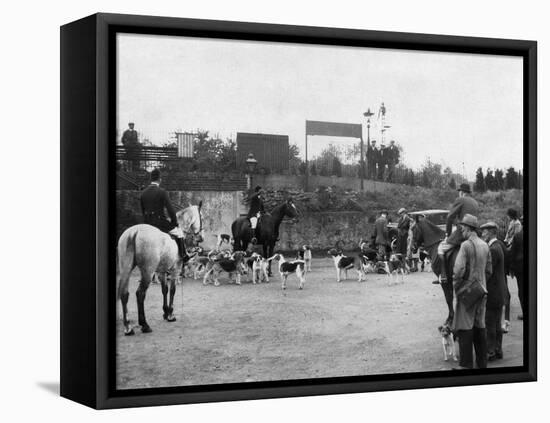 Kentish Fox Meet-null-Framed Stretched Canvas
