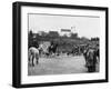 Kentish Fox Meet-null-Framed Photographic Print