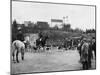 Kentish Fox Meet-null-Mounted Photographic Print