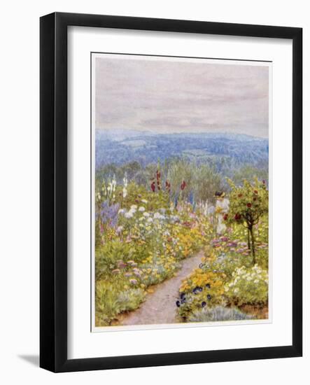 Kentish Garden, a Woman Picks Flowers from Large Herbaceous Borders in a Typical English Garden-null-Framed Art Print