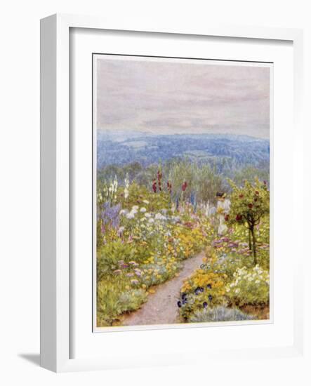 Kentish Garden, a Woman Picks Flowers from Large Herbaceous Borders in a Typical English Garden-null-Framed Art Print