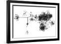 Gramercy Black