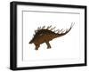 Kentrosaurus Dinosaur from the Jurassic Period-null-Framed Art Print