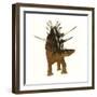 Kentrosaurus Dinosaur from the Jurassic Period-null-Framed Premium Giclee Print