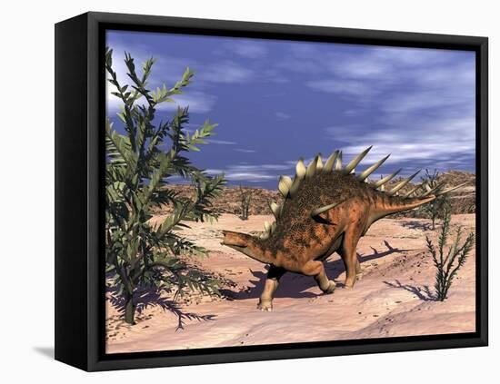 Kentrosaurus Dinosaur Grazing on a Dicroidium Plant-Stocktrek Images-Framed Stretched Canvas
