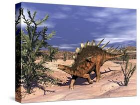 Kentrosaurus Dinosaur Grazing on a Dicroidium Plant-Stocktrek Images-Stretched Canvas