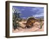 Kentrosaurus Dinosaur Grazing on a Dicroidium Plant-Stocktrek Images-Framed Art Print