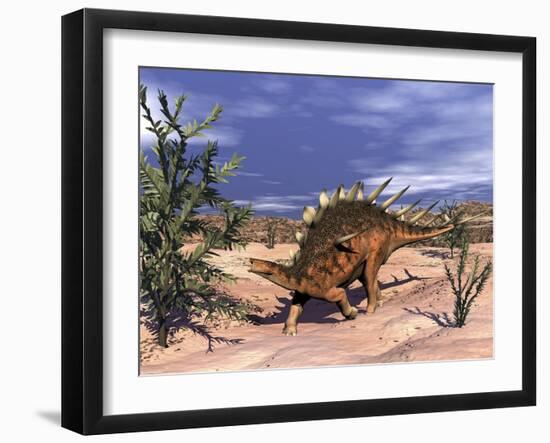 Kentrosaurus Dinosaur Grazing on a Dicroidium Plant-Stocktrek Images-Framed Art Print