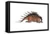 Kentrosaurus Dinosaur Resting, White Background-null-Framed Stretched Canvas