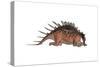 Kentrosaurus Dinosaur Resting, White Background-null-Stretched Canvas