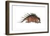 Kentrosaurus Dinosaur Resting, White Background-null-Framed Art Print