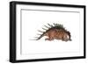 Kentrosaurus Dinosaur Resting, White Background-null-Framed Art Print