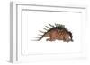 Kentrosaurus Dinosaur Resting, White Background-null-Framed Art Print