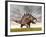 Kentrosaurus Dinosaur Running on the Yellow Grass-null-Framed Art Print
