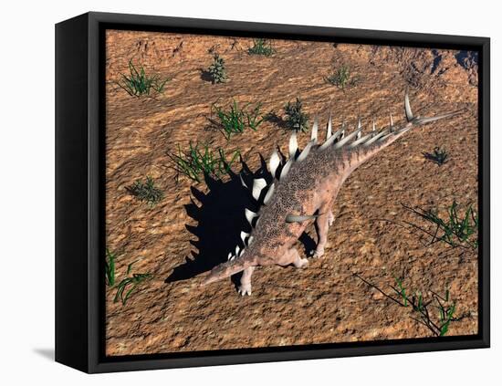 Kentrosaurus Dinosaur Walking in the Desert-null-Framed Stretched Canvas