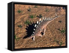 Kentrosaurus Dinosaur Walking in the Desert-null-Framed Stretched Canvas