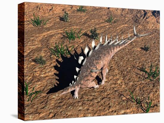 Kentrosaurus Dinosaur Walking in the Desert-null-Stretched Canvas