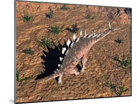 Kentrosaurus Dinosaur Walking in the Desert-null-Mounted Art Print