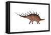 Kentrosaurus Dinosaur, White Background-null-Framed Stretched Canvas