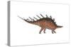 Kentrosaurus Dinosaur, White Background-null-Stretched Canvas