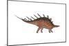 Kentrosaurus Dinosaur, White Background-null-Mounted Art Print