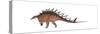 Kentrosaurus Dinosaur, White Background-null-Stretched Canvas