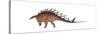 Kentrosaurus Dinosaur, White Background-null-Stretched Canvas