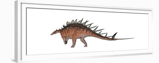 Kentrosaurus Dinosaur, White Background-null-Framed Premium Giclee Print