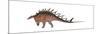 Kentrosaurus Dinosaur, White Background-null-Mounted Premium Giclee Print