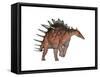 Kentrosaurus Dinosaur, White Background-null-Framed Stretched Canvas