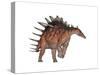 Kentrosaurus Dinosaur, White Background-null-Stretched Canvas