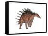 Kentrosaurus Dinosaur, White Background-null-Framed Stretched Canvas