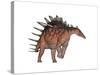 Kentrosaurus Dinosaur, White Background-null-Stretched Canvas