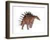 Kentrosaurus Dinosaur, White Background-null-Framed Art Print