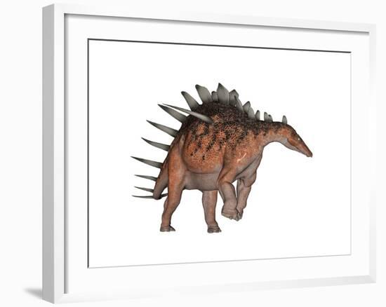 Kentrosaurus Dinosaur, White Background-null-Framed Art Print