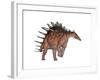 Kentrosaurus Dinosaur, White Background-null-Framed Art Print