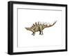 Kentrosaurus Dinosaur-null-Framed Art Print