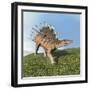 Kentrosaurus Dinosaur-null-Framed Art Print