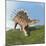 Kentrosaurus Dinosaur-null-Mounted Art Print