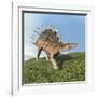 Kentrosaurus Dinosaur-null-Framed Art Print