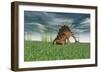 Kentrosaurus Grazing in Prehistoric Grasslands-null-Framed Art Print